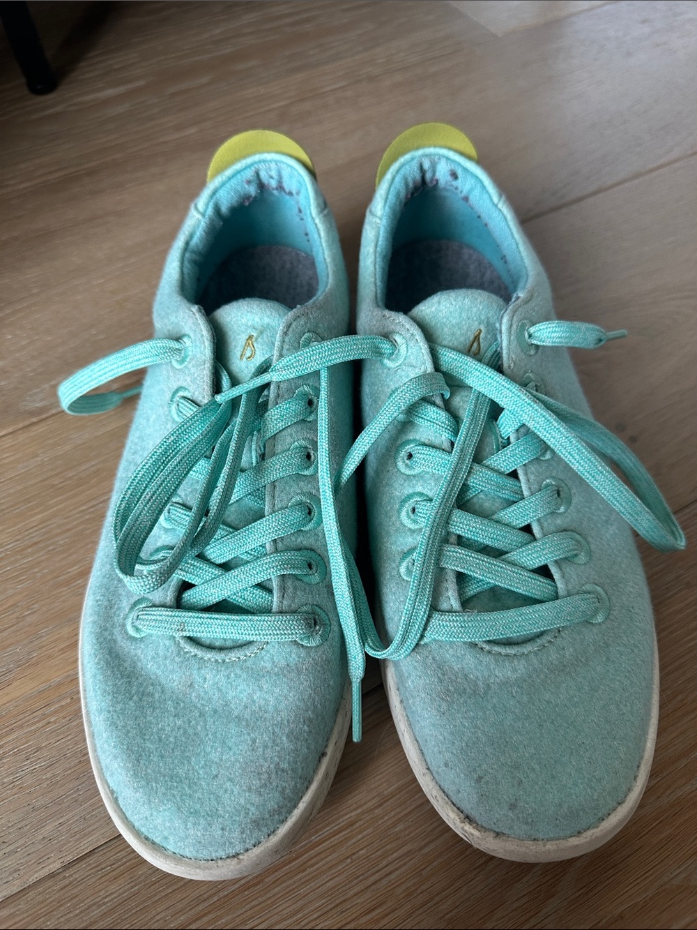 allbirds Women’s Wool Cruiser in Light Teal/Mint